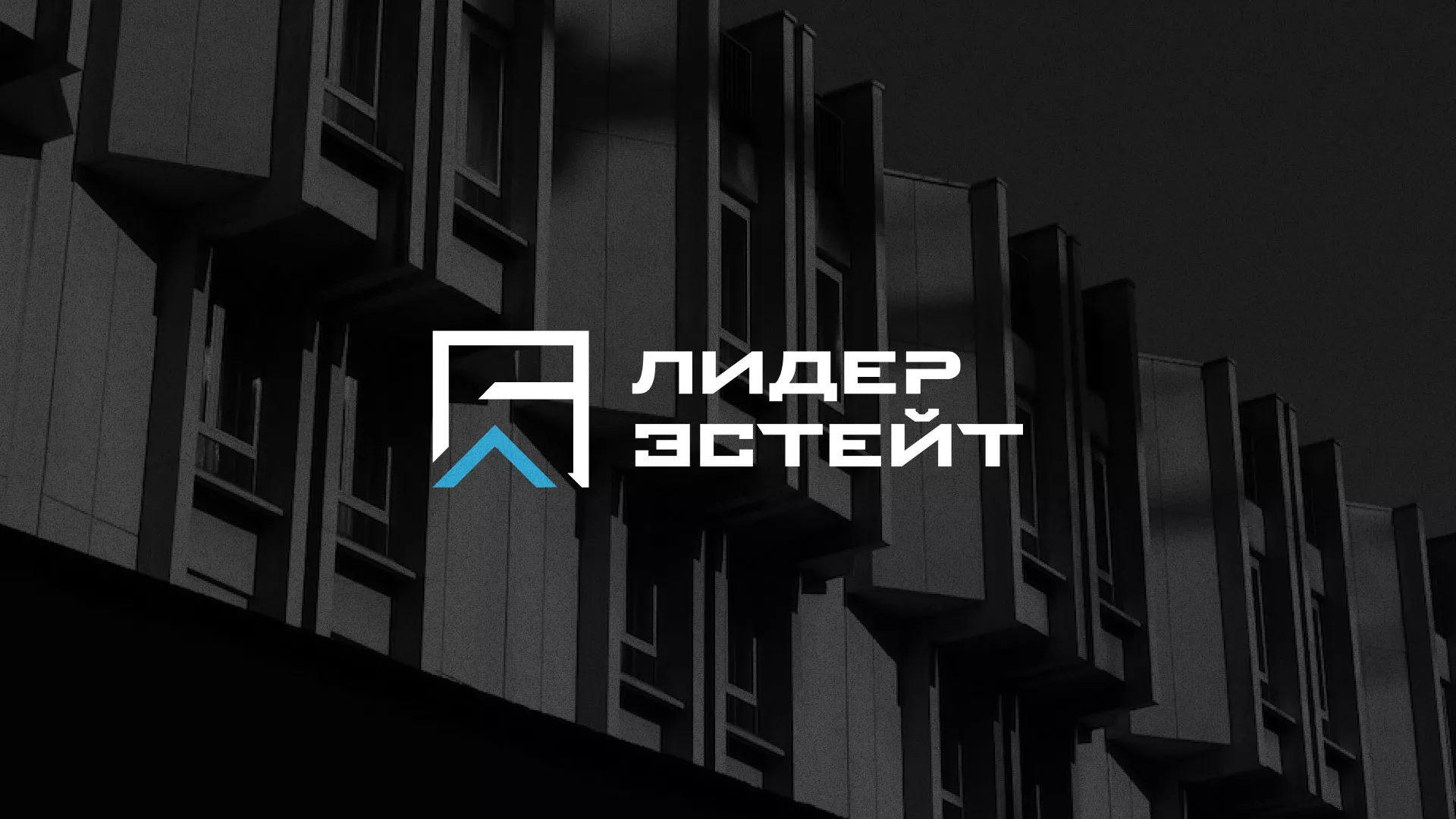 Разработка логотипа агентства недвижимости «Лидер Эстейт» в Североуральске